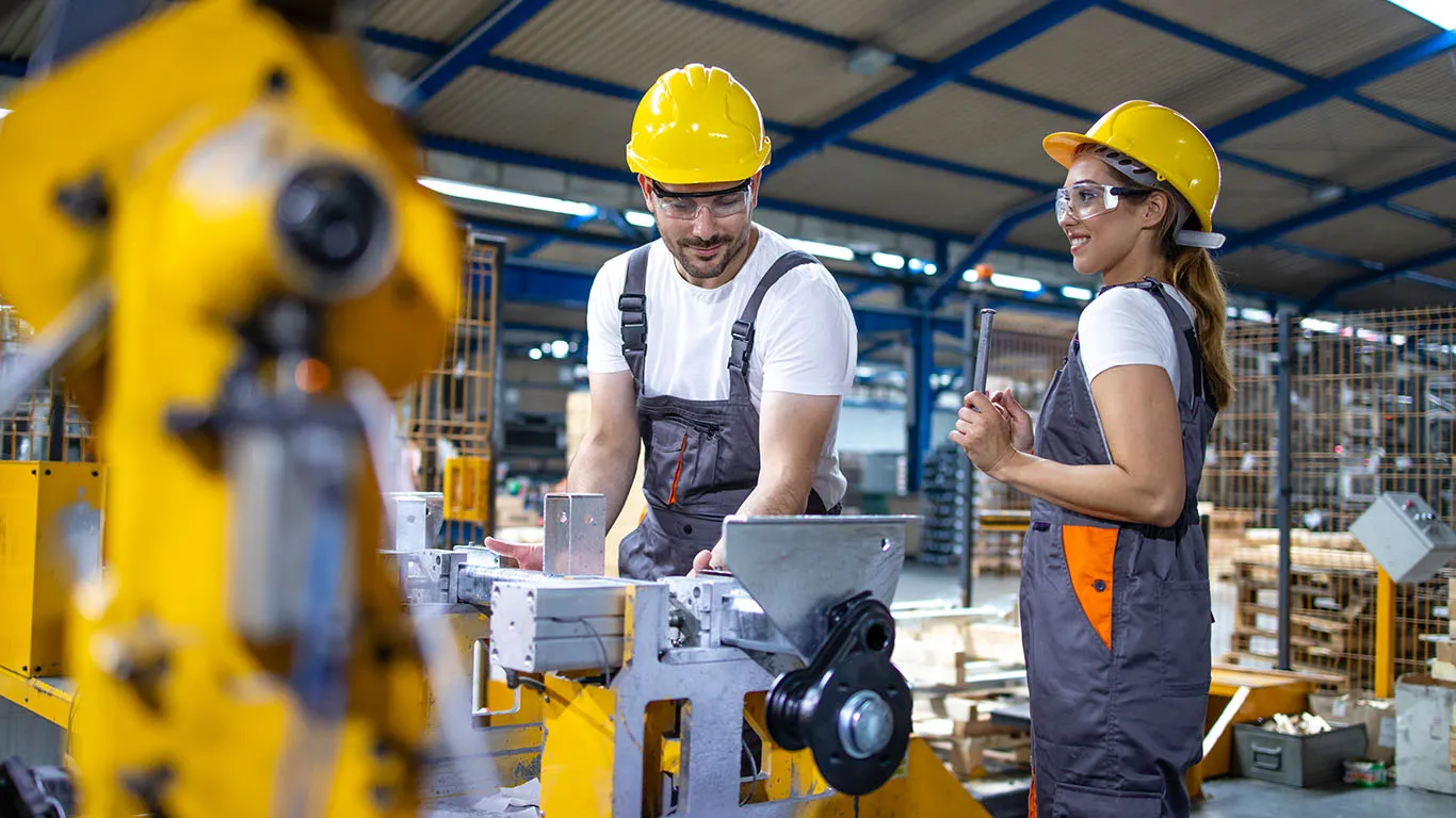 Fonksiyonel Özellik 2